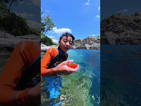 Love between fish and child.#shortsvideo
