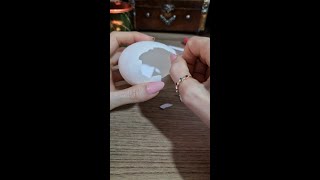 Paintings Inside Eggshells