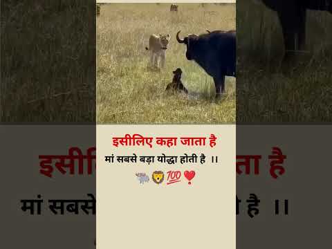 #shortvideo #motivation #ytshorts
