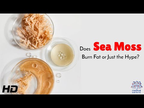 Does Sea Moss Burn Fat Here's What Science Really Says