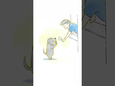心を癒してくれた犬たちの瞬間