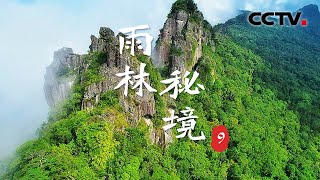 《地理·中国》 20250808 雨林秘境9 | CCTV科教