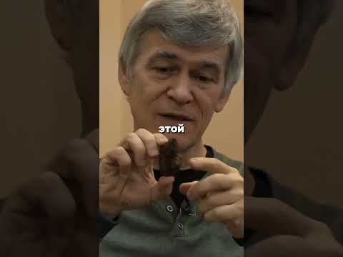 Владимир Сурдин про Сихотэ-Алинский метеорит #астрономия #сурдин #космос