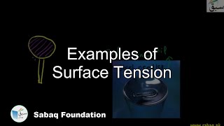 Examples of Surface Tension