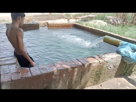 SUMMING POOL LIVE STREAM