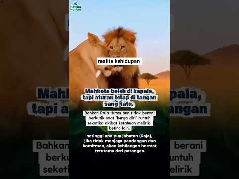 petiklah hikmah dari kata kata tersebut #shortvideo #katakatabijak