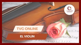 TVC Online: el arte del violín