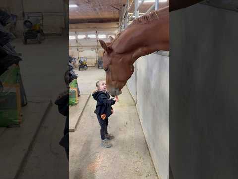 Time to buy more carrots 🥕 #fyp #viral #horse #equestrian #horselover #toddler