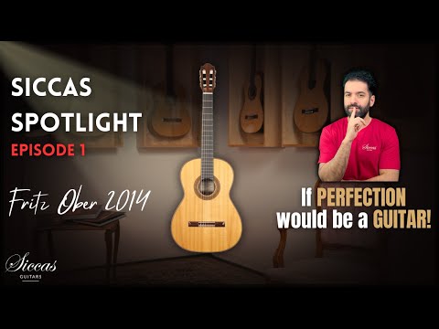 Siccas Spotlight #1 - I Want This Guitar for Myself! Fritz Ober 2014