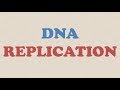 DNA Replication Concepts and Processes