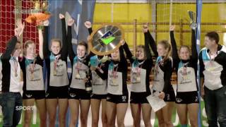 Faustball Final3 - Halle 2017 (ORF Sport-Bild)