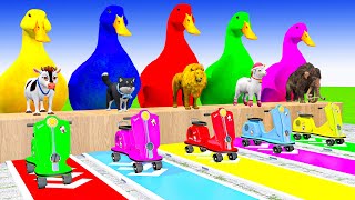 Long Slide Game With Cow Elephant Gorilla Hippopotamus Tiger - 3d Animal Game - Funny 3d Animals