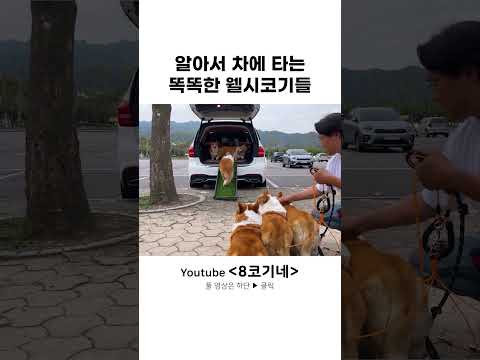 고속도로가 막히는 이유 ㅋㅋㅋ