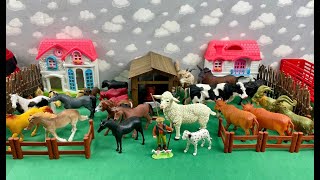 DUCKS, HORSES, COWS, OXEN, TRUCK, RACTOR / PATOS, CAVALOS, VACAS, BOIS, CAMINHÃO, TRATOR