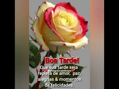 Belíssima mensagem de boa tarde 😘🌹❤️💗
