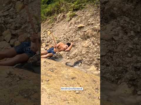 cá tự chui vào vợt là có thật các bạn ạ #fishing #cauca