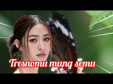 Your Love Is Only An Illusion/Dangdut Reggae Album Version