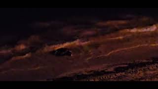 Female green turtle and loggerhead turtle coming ashore to lay their eggs in Cancún