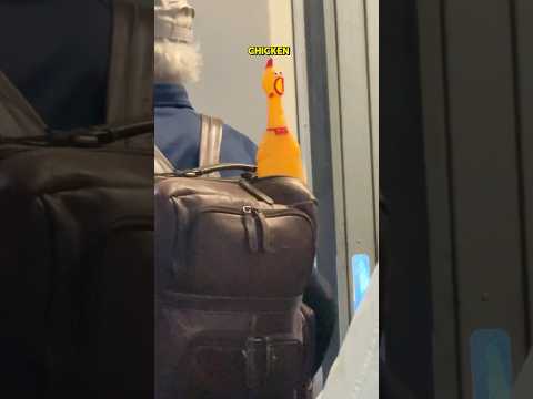 imagine boarding a flight and seeing THIS 😭🤣