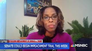 MSNBC Interview with Ayman Mohyeldin 1/19/21