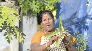 கட்டி போட்டா குட்டி போடும் | ரணத்தை மட்டும் அல்ல கிட்னி கல்லையும் சுக்குநூறாக உடைக்கும்