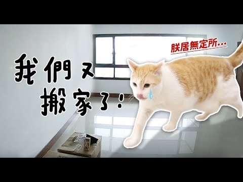 【黃阿瑪的後宮生活】我們又搬家了！