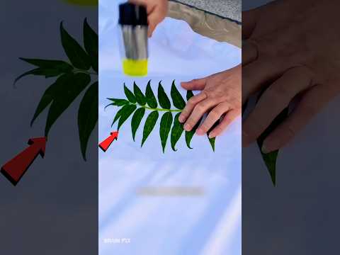 Plant Hammer Printing ๐ฑ