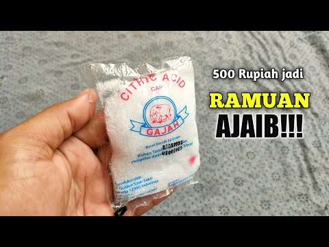 JIKA MELIHAT BARANG INI DI TOKO KELONTONG LANGSUNG BELI ‼️ PASTI KAGET SETELAH TAU MANFAAT NYA
