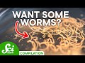 Parasites: The Good, The Bad, and The Unseen
