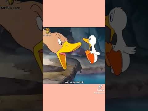 ١٨ مارس ٢٠٢٦