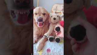 REVENGE OF THE TOY DOG 🔥