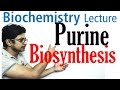 Purine Biosynthesis Concepts and Mechanisms