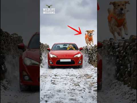 ๋๋ฌผ์ ๊ฐ ๐๐๐ซ #์ ์