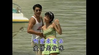 張蓉蓉 - 愛來愛去 [后聲伴唱帶MV]