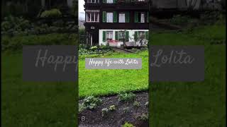 دعاء الصباح #explore #flower #اكسبلور #youtube #tiktok #fan #abonnetoi