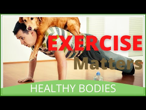 Why Exercise Is Important In Our Daily Life