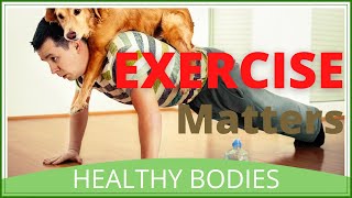 Why Exercise Is Important In Our Daily Life
