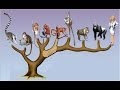 Evolutionary Concepts and Relationships