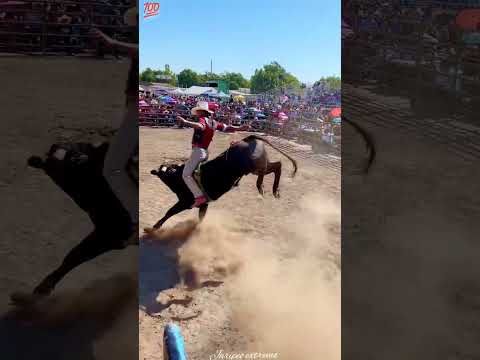 Monta dramática para texanito🤠 #jaripeo