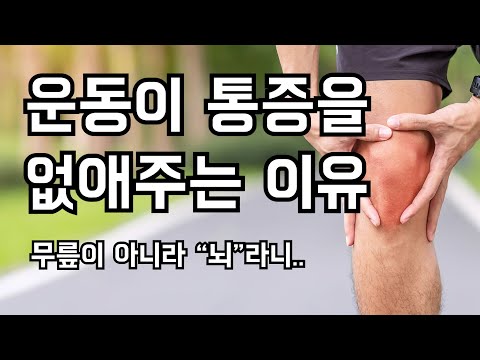 통증의 비밀!! 아프니까 운동하자!!