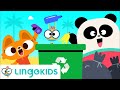 Waste Sorting Quiz