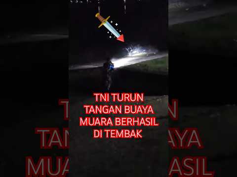 bravo TNI angkatan laut berhasil melumpuhkan buaya muara #shorts