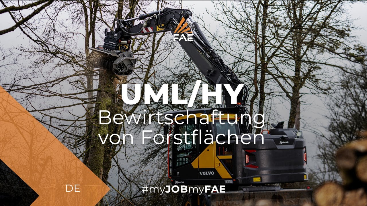Forstmulcher FAE mit Rotor mit feststehenden Werkzeugen für Bagger von 7 bis 15 t