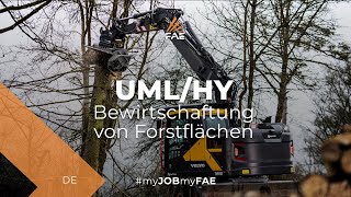 Forstmulcher FAE mit Rotor mit feststehenden Werkzeugen für Bagger von 7 bis 15 t