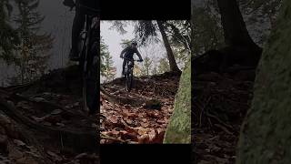 Trochu techniky a listí 🪨🍁 #mtb #mtblife #mountainbike #trailride #autumn #shorts #ride #technical