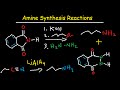 Understanding Amines: Nomenclature, Properties, and Reactions