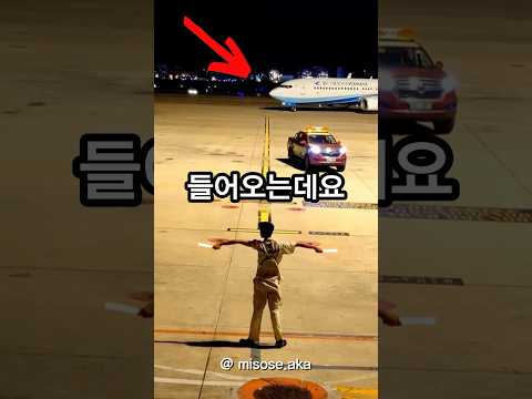 꿈의 직장?