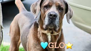 RESCUED/GLO 252258/NH RESCUE NEEDED/NYCACC/SIACC