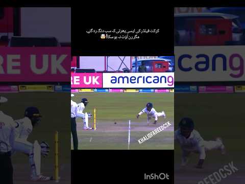 کرکٹ فیلڈر کی ایسی پھرتی کہ سب دنگ رہ گئے، مگر رن آؤٹ نہ ہو سکا! 🤯