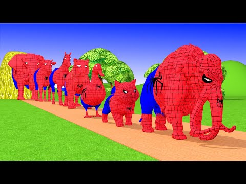 Paint & Animals Spider Duck,Cow,Gorilla,Lion,chicken,Elephant Fountain Crossing Turtle Cartoon Games